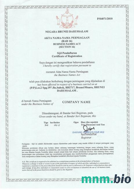Brunei Business license Word i szablon PDF
